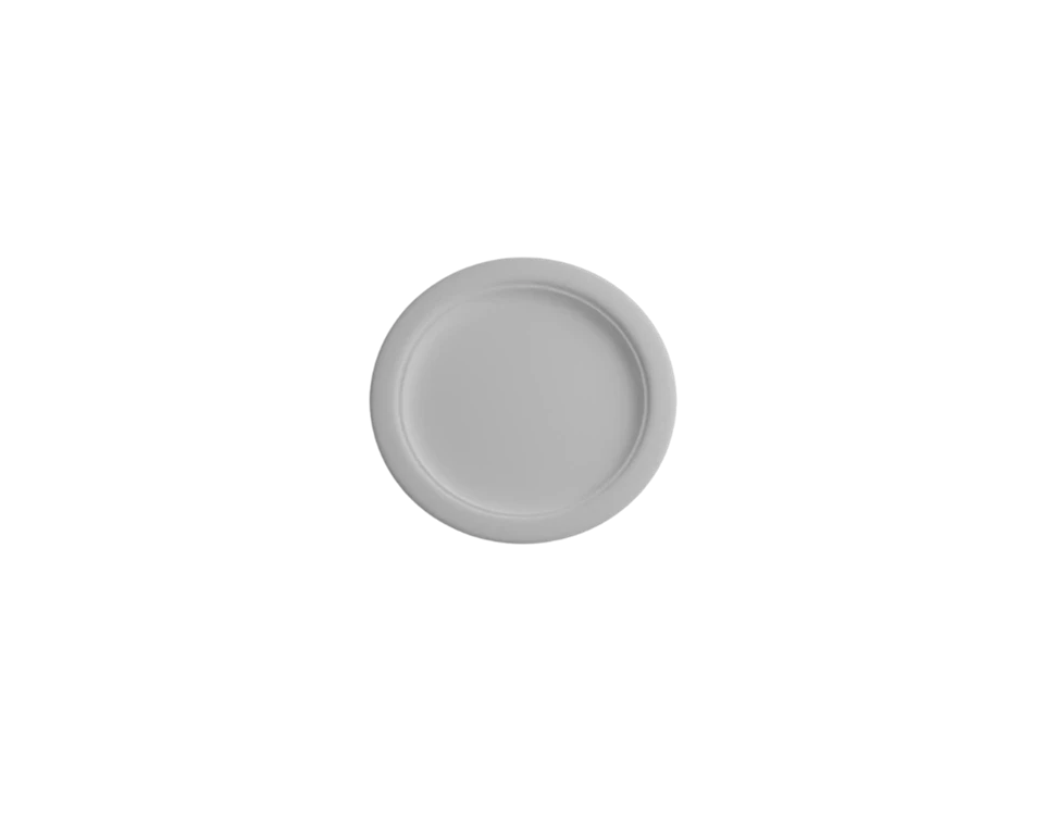 Large Compostable Round Plates best Large Compostable Round Plates best
